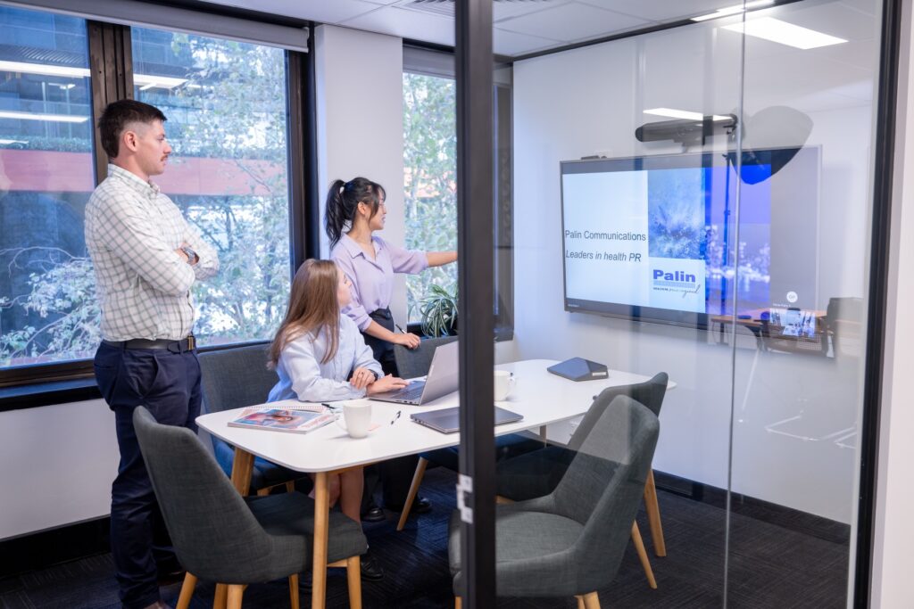 A Palin consultant presenting in a boardroom