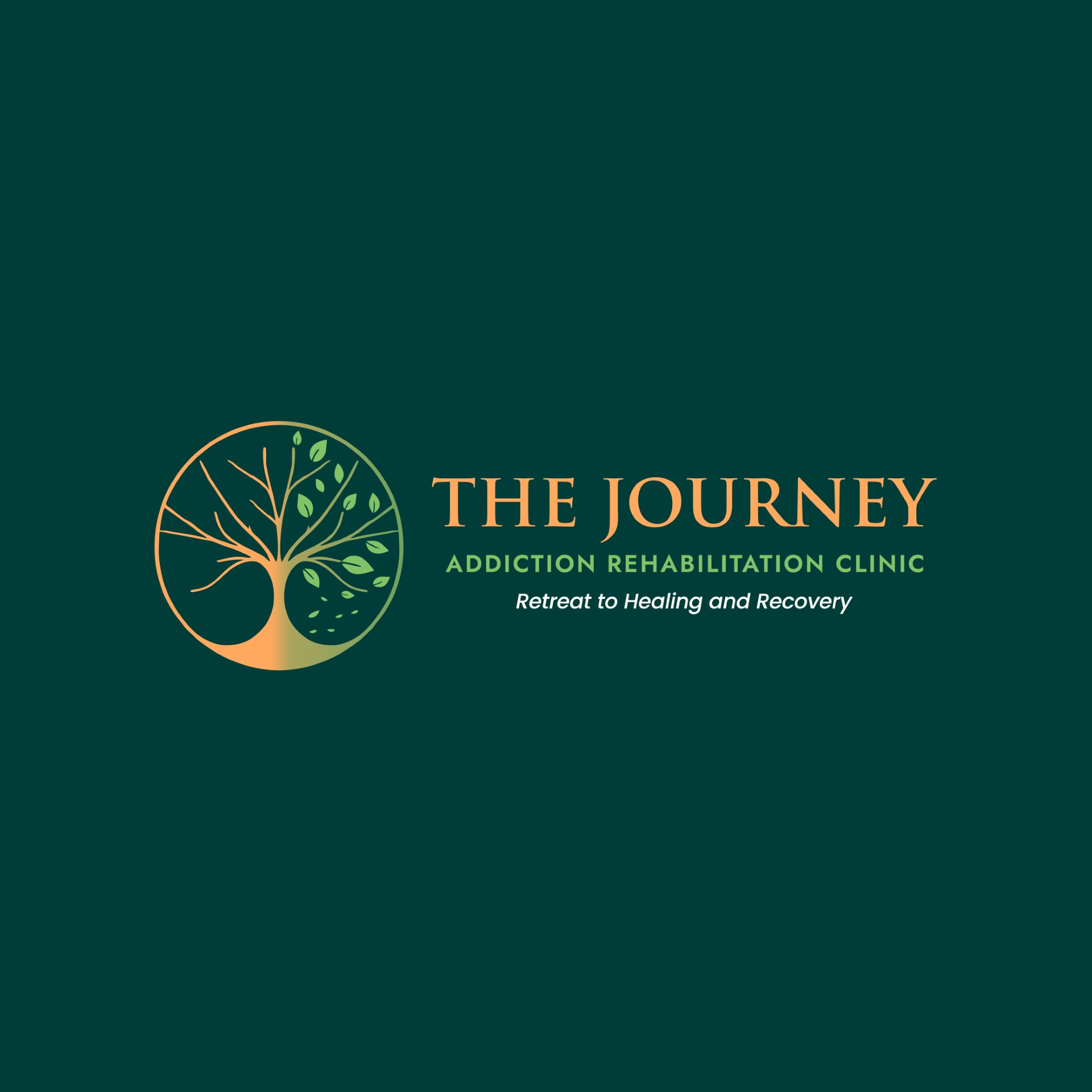 The Journey Clinic is a client of Palin Communications